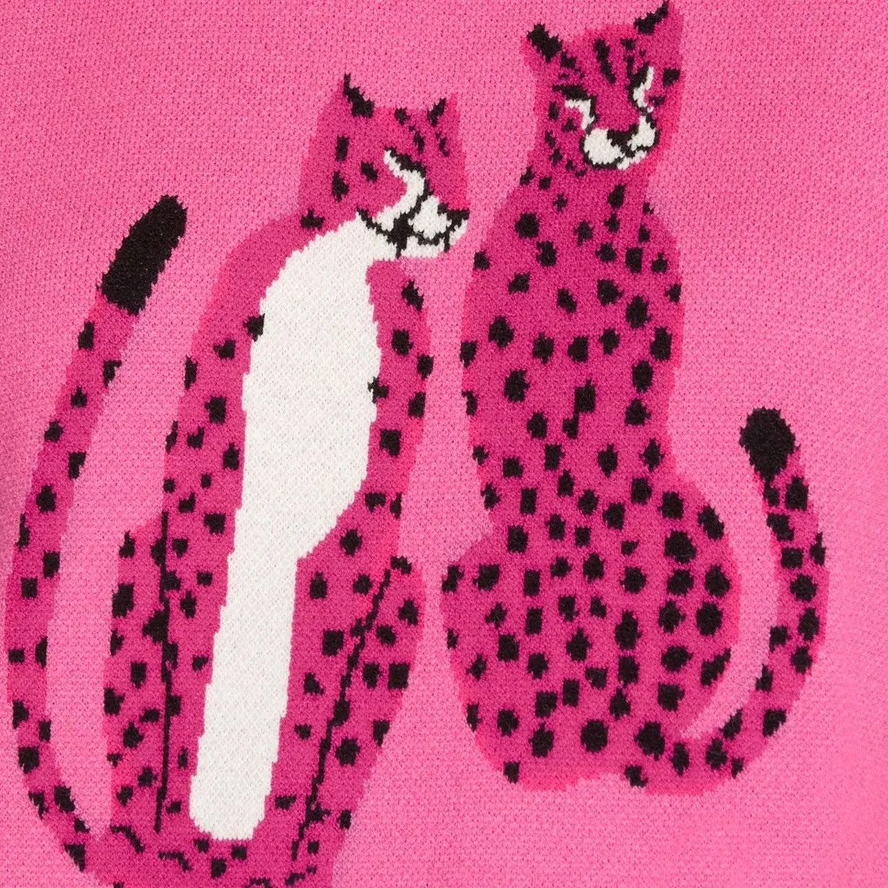 Cheetah Gal Pink Short Sleeve Sweater Top