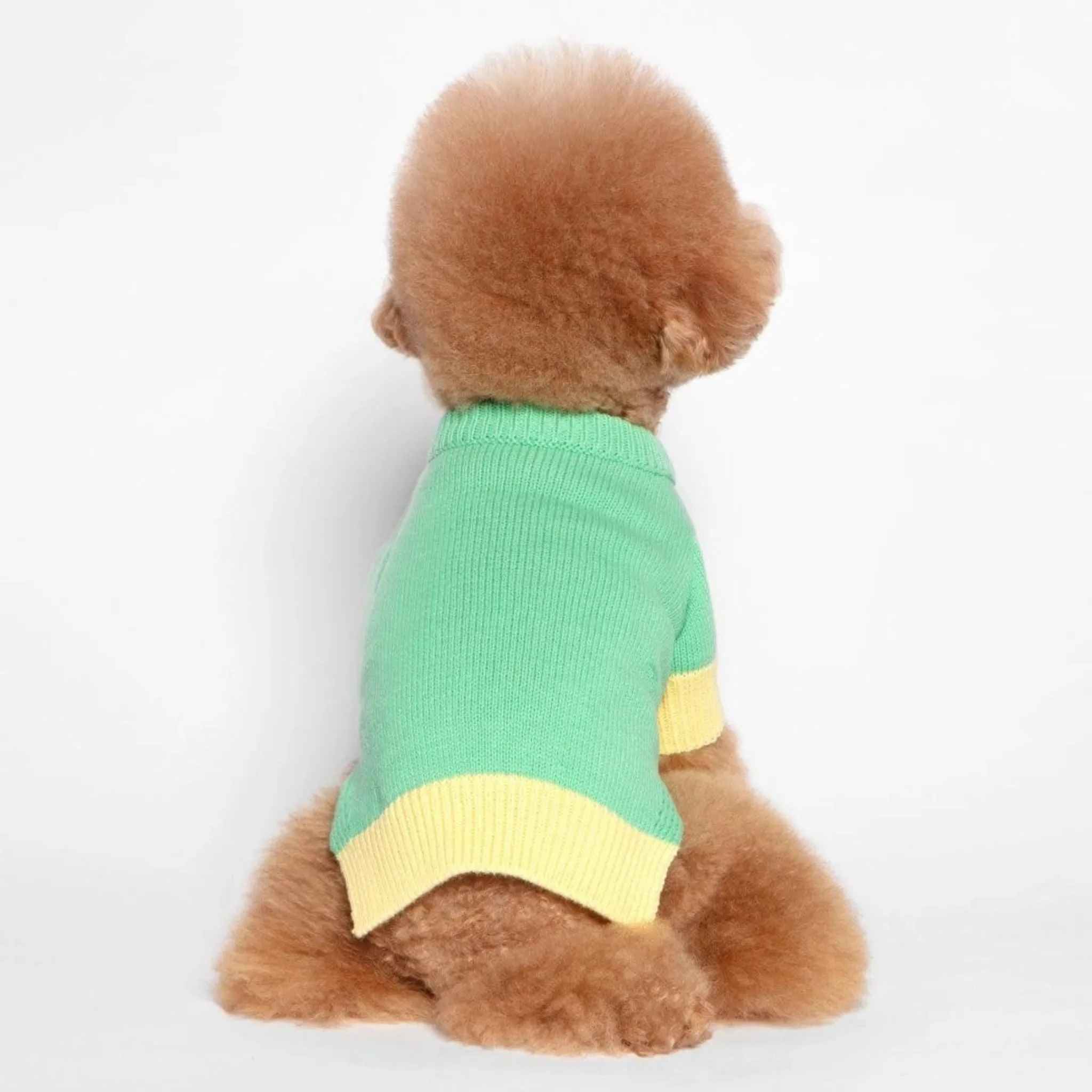 Green Color Block Knit Dog Sweater