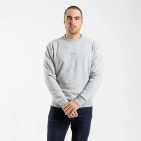 Men's Crew Neck Sweater (Grey)