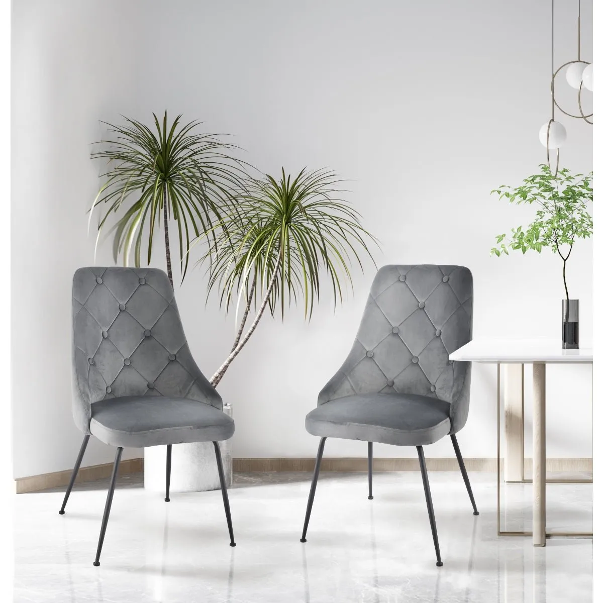 Plumeria Grey Velvet Chair with Black Legs - Set of 2