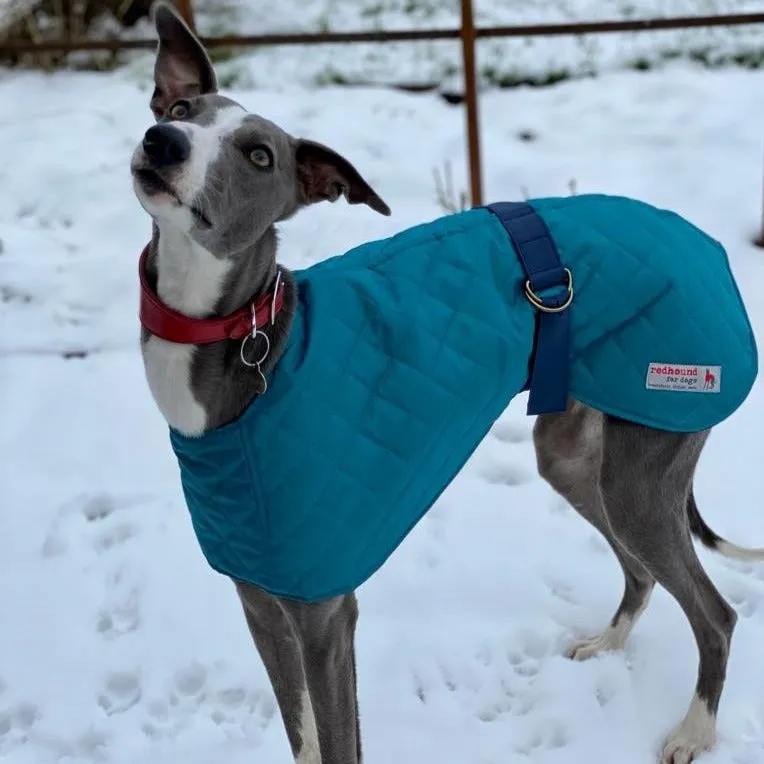 Warm Waterproof Whippet Coat