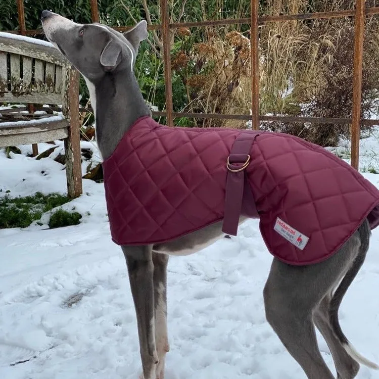 Warm Waterproof Whippet Coat