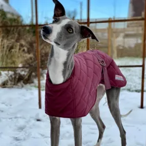 Warm Waterproof Whippet Coat