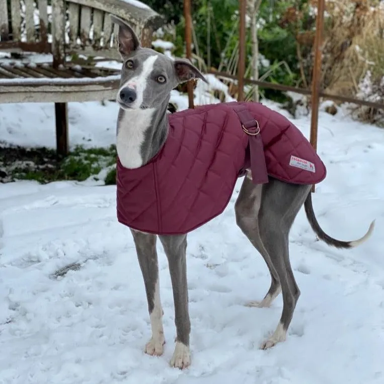 Warm Waterproof Whippet Coat